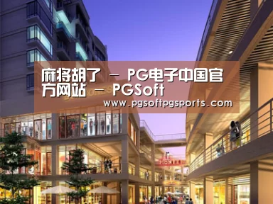 案例展示一(图1)
