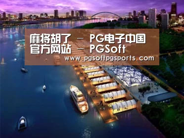案例展示八