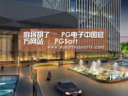 案例展示二