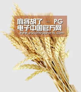 麻将胡了 - PG电子中国官方网站 - PGSoft