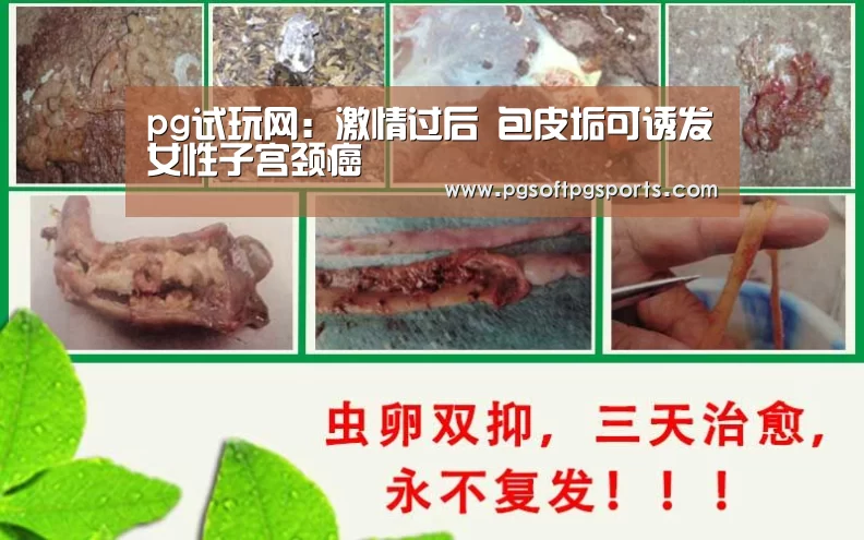 pg电子麻将胡了官网