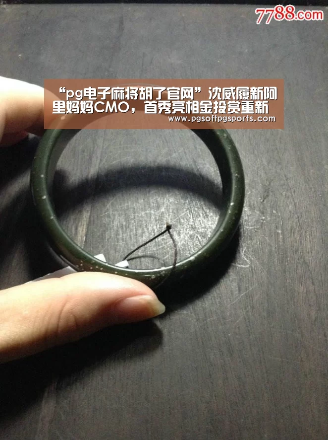 pg电子麻将胡了官网