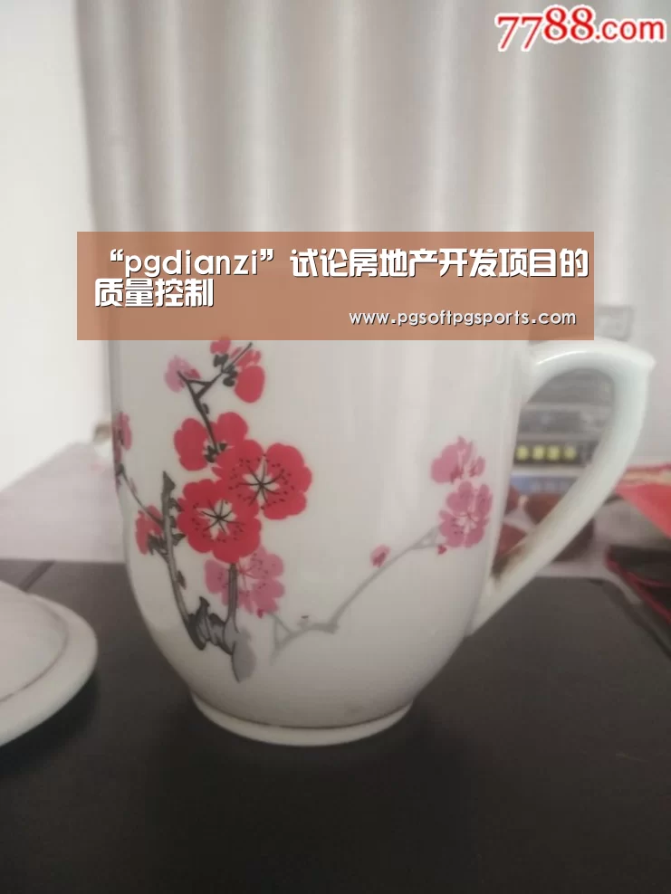 “pgdianzi”试论房地产开发项目的质量控制(图1) pg试玩网