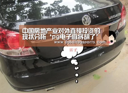 中国房地产业对外直接投资的现状分析‘pg电子麻将胡了’(图4) pg试玩网