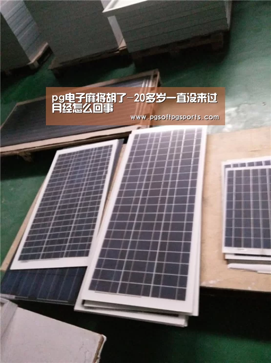 pg电子麻将胡了